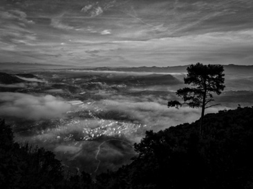 The Valley The Valley